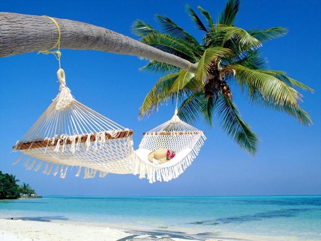Affordable Two Bedroom Tropical Condo - Private Beach, Pools, Hot Tub سانت بطرسبرج المظهر الخارجي الصورة